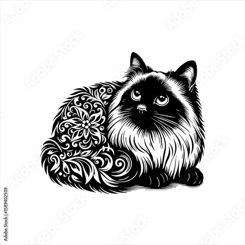 A fluffy ragdoll cat with floral patterns, isolated on white background