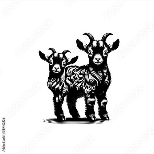 Two headed goat is isolated on white background