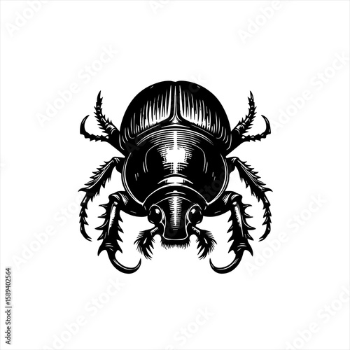 A black beetle with detailed exoskeleton, isolated on white background