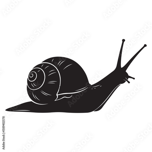 Black snail illustration on white background