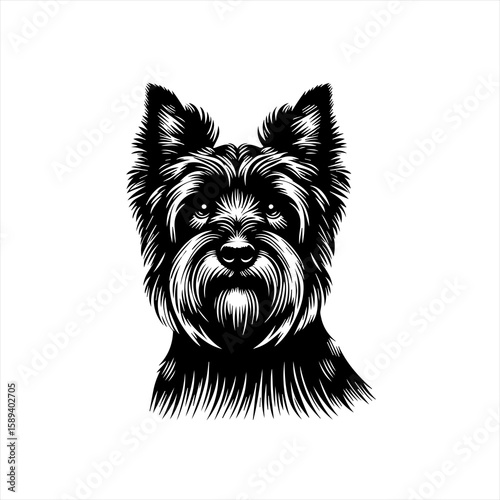 A black and white portrait of a yorkshire terrier dog