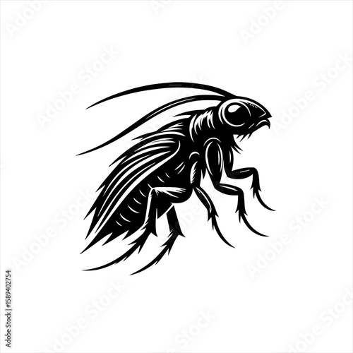 A black and white illustration of a flea isolated on white background