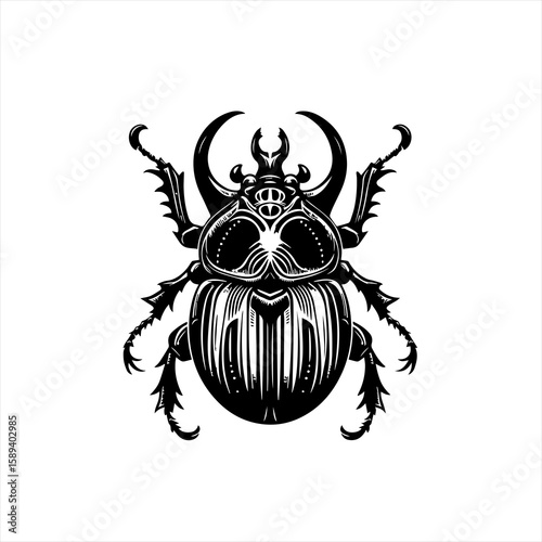 An intricate scarab beetle drawing isolated on white background
