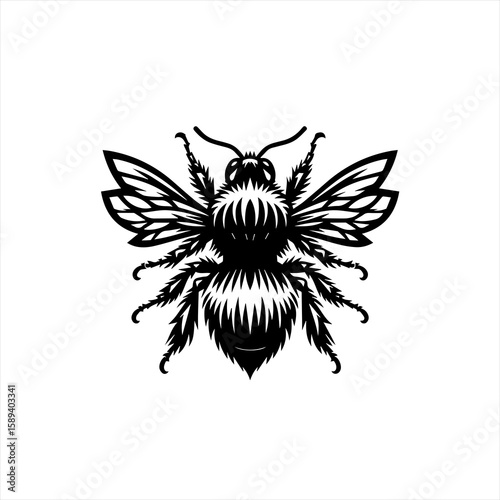 A detailed black and white drawing of a bee isolated on white background
