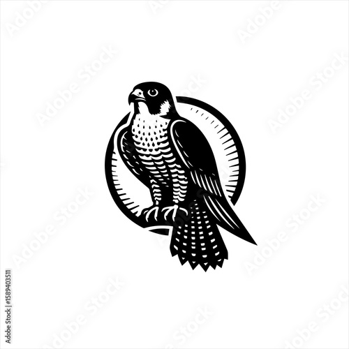 A majestic falcon perches, isolated on white background