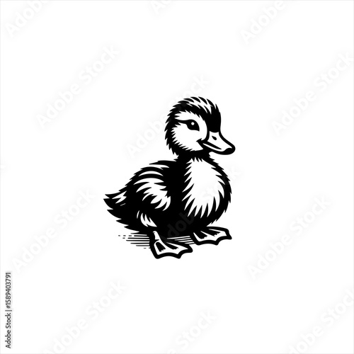 Illustration of a duckling isolated on white background
