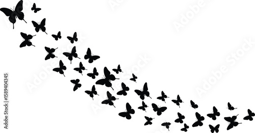 Butterfly silhouette, flying insects, black and white, artistic swarm, nature-inspired design, decorative pattern, Adobe Stock, vector illustration, elegant composition, insect group