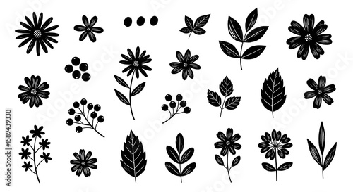 Black and white flower and leaf outline botanical vector set