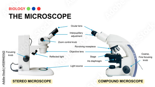 Photos Microscope Types and Parts Diagram: Stereo vs
