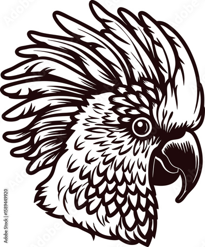 Intricate hand drawn cockatoo head illustration with detailed feathers and expressive crest on white background