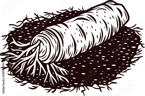 Hand drawn vintage illustration of a daikon radish with roots on soil, engraved black and white vegetable art