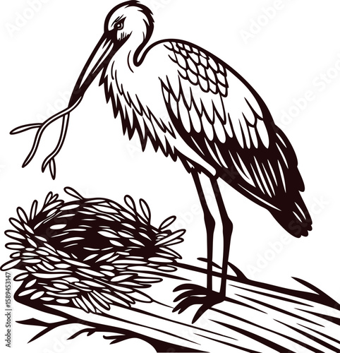 Engraved illustration of a standing stork with long beak beside a nest on a wooden branch