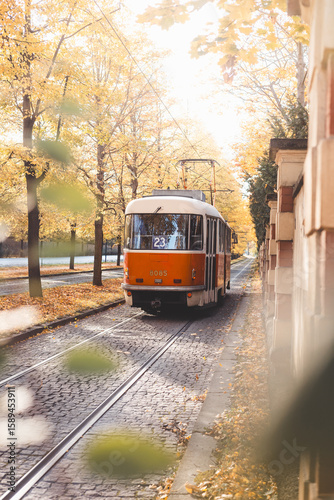 Vintage trams glide down a tree lined avenue ablaze with autumn hues in Prague, blending historic charm with nostalgic flair in the city iconic public transport network.
