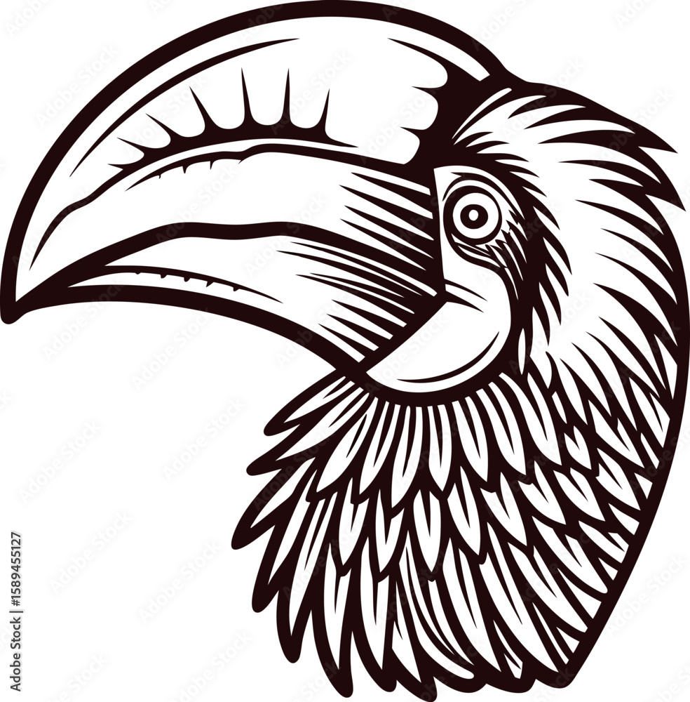 Fototapeta premium Detailed hand drawn toucan head with large beak and textured feathers in vintage engraving illustration
