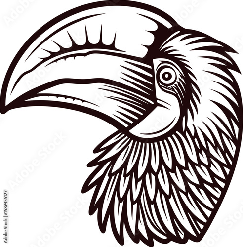 Detailed hand drawn toucan head with large beak and textured feathers in vintage engraving illustration