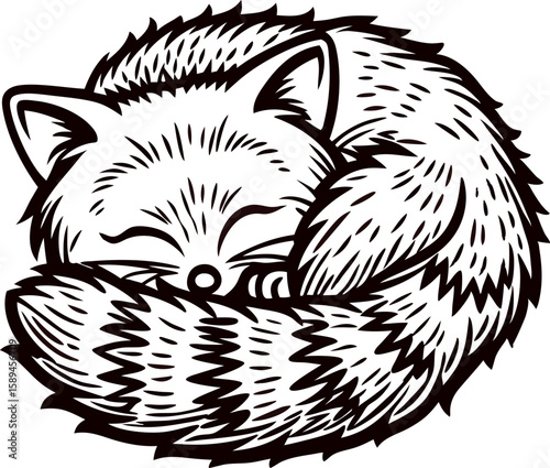 Hand drawn curled sleeping fox illustration with bushy tail cute woodland animal black and white sketch