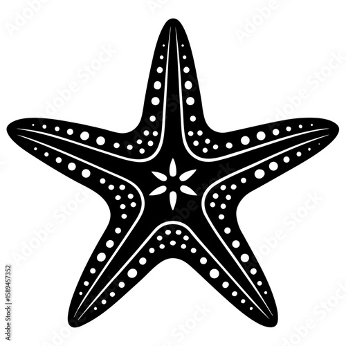 starfish on black background