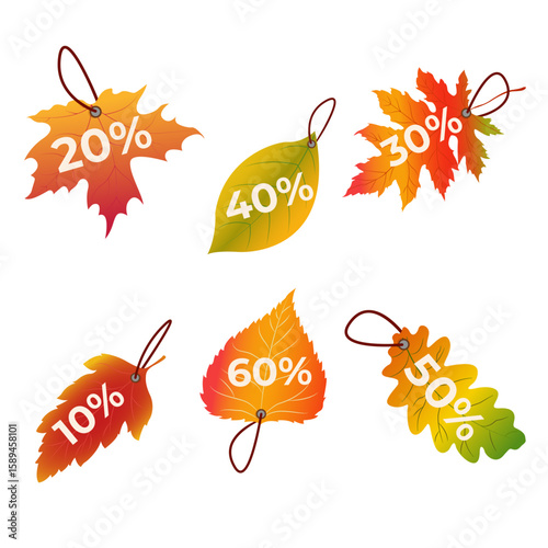 Discount leaves Autumn illustration Vector EPS10