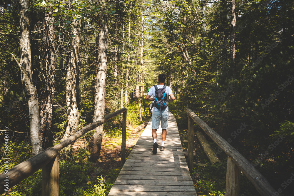 A man is walking on a wooden bridge in a forest A man is walking on a wooden bridge in a forest