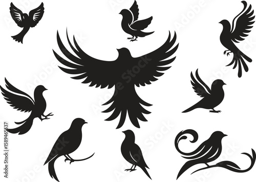 bird vector art