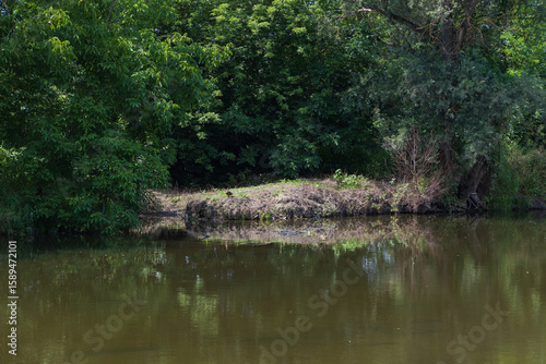 Jihlava River near the Dolni Kounice quarry. Trees along the river