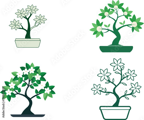 Murraya Paniculata Bonsai Vector Illustration