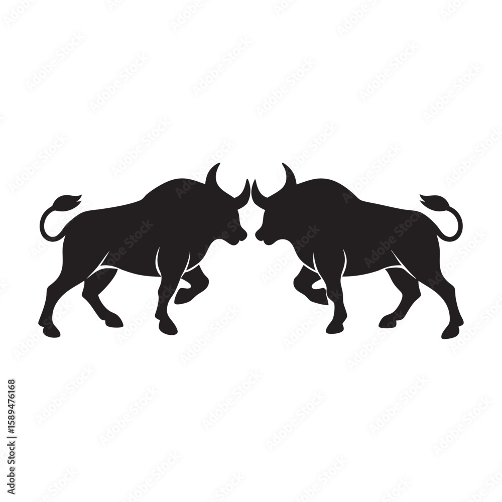Naklejka premium Two Buffalo Fighting With Locked Horns