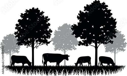 Black silhouette cows grazing in grassy field under trees cattle livestock