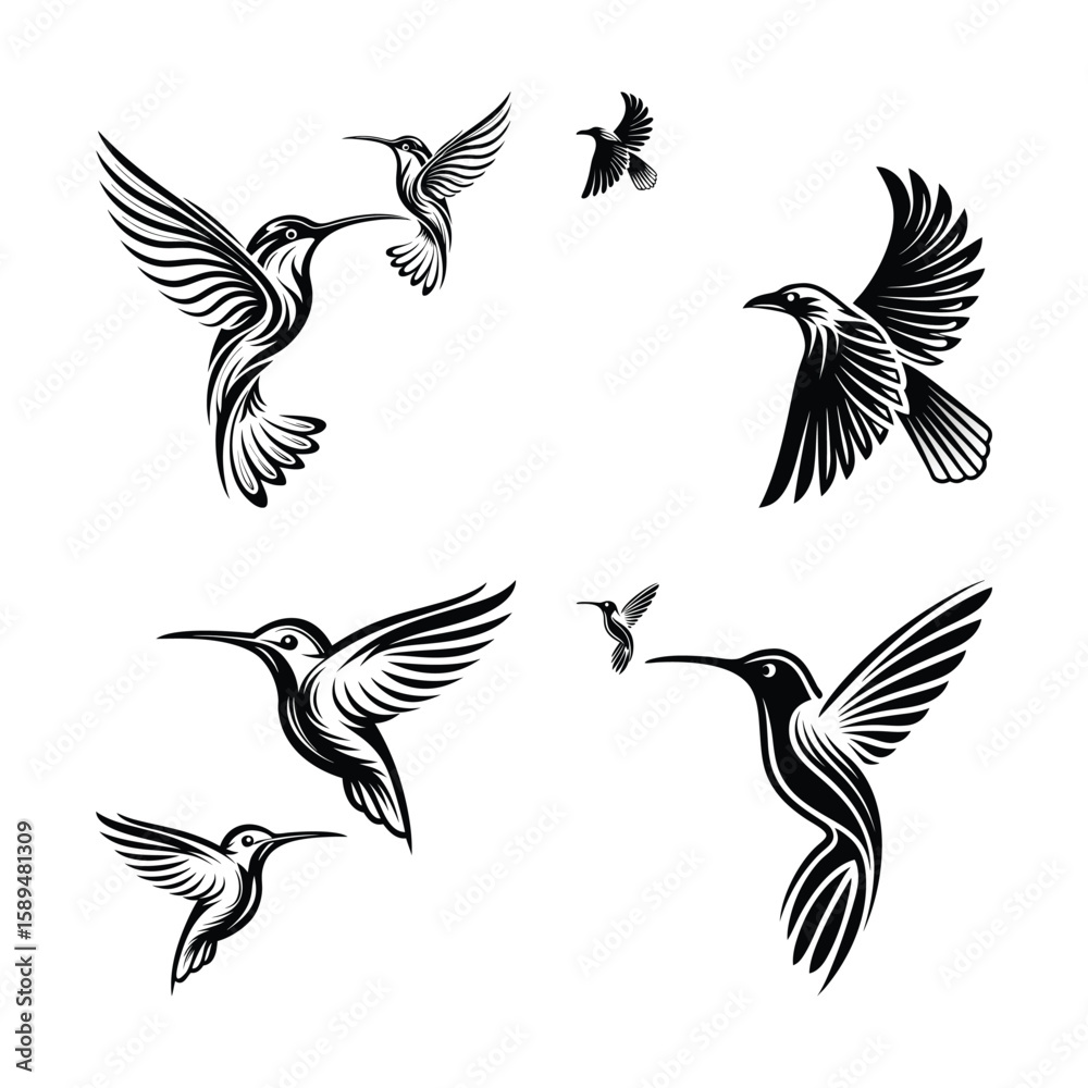 Obraz premium set of silhouettes of birds vector on white background