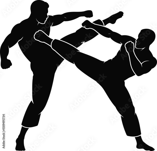Martial Artists in Action Silhouette Vector Illustration, Transparent Background.