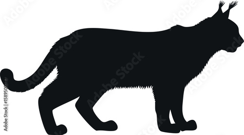 Lynx silhouette illustration