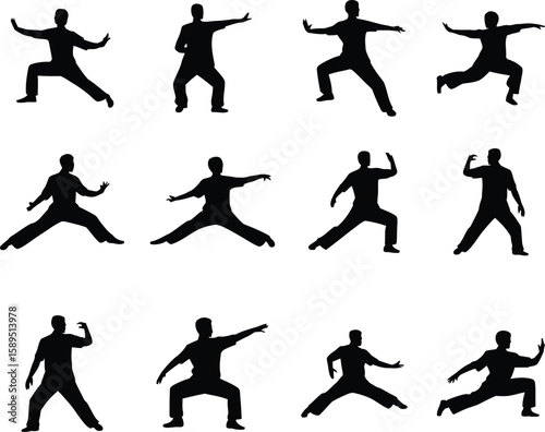 A set of black silhouettes illustrating various martial arts stances and movements. Twelve figures of a person practicing slow, deliberate forms for exercise, balance, and meditation.
