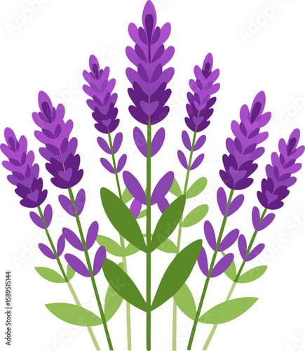 Lavender icon