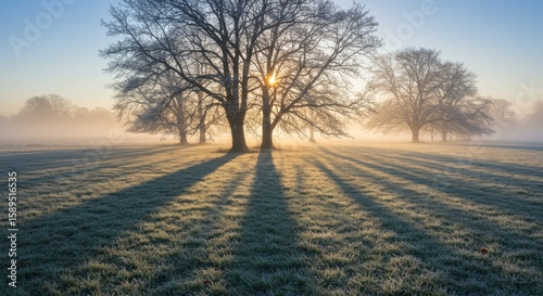 Sunrise over Frosty Field with Trees and Fog
