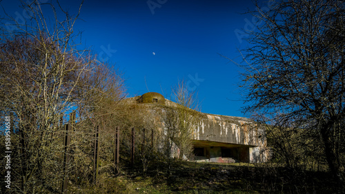 Quadro su tela Ligne Maginot