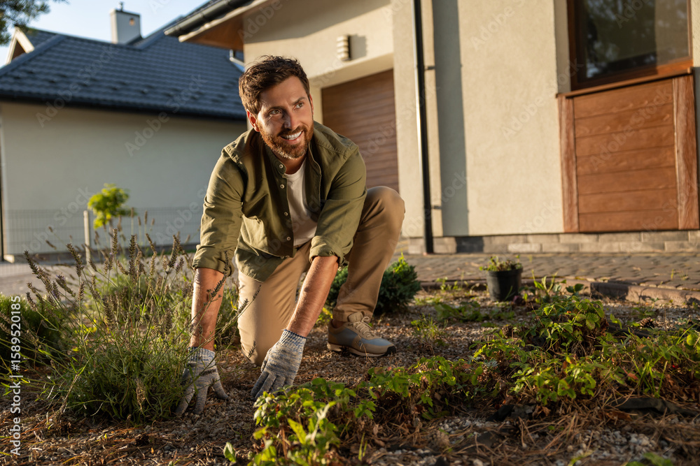 Fototapeta premium Man working in the cottage garden and planting the flowers