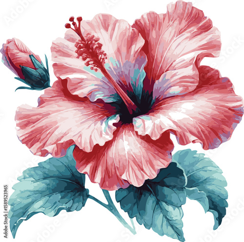 Vector watercolor illustration of a hibiscus