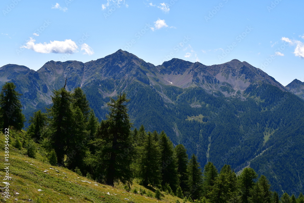 Fototapeta premium Schöne Landschaft im Ultental in Südtirol 