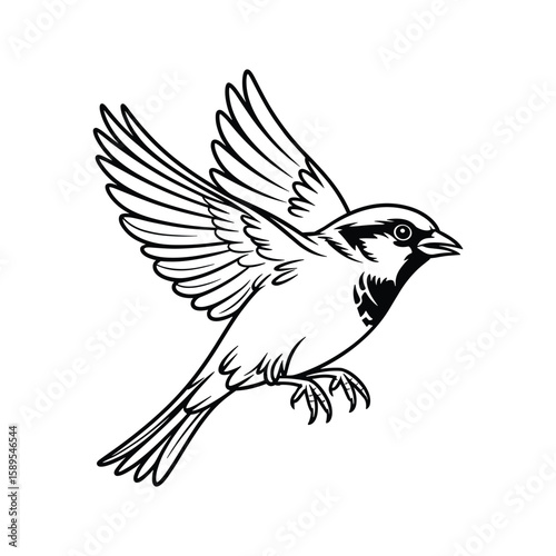 A sparrow in flight with wings spread wide bird flying
