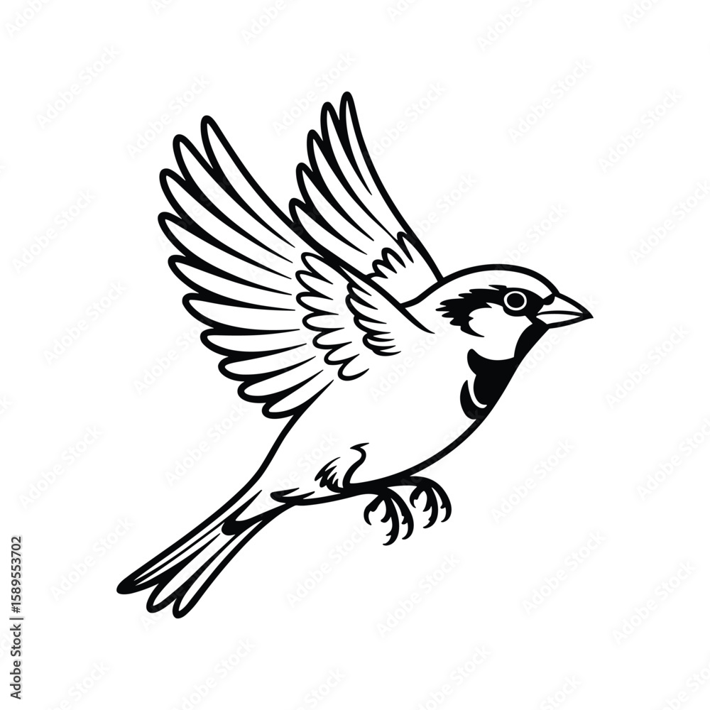 Fototapeta premium A black and white illustration of a sparrow in flight bird flying