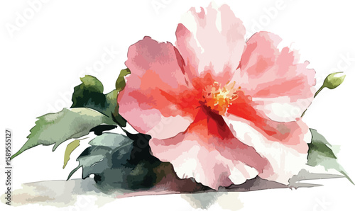 Image Processing Complete