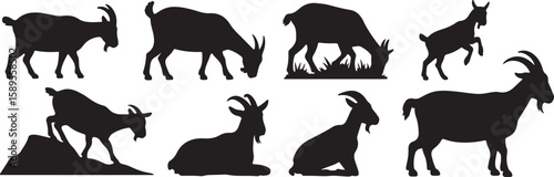 Black silhouettes of goats in various poses on a white background animal set, bundle, vector, isolated on white background, cutout, png, clipping path, transparent, image, download, 2025,2026