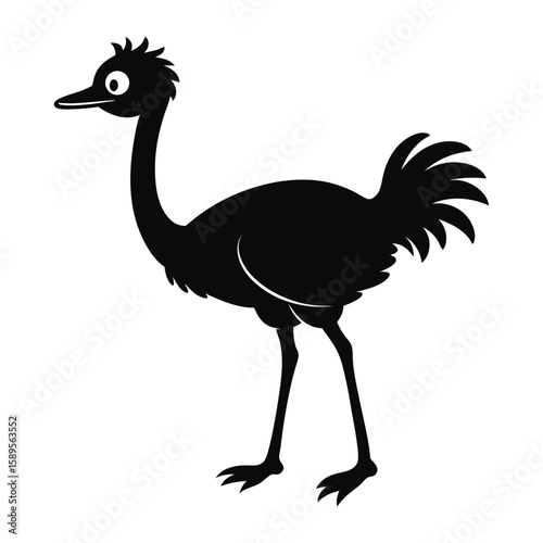 ostrich vector illustration