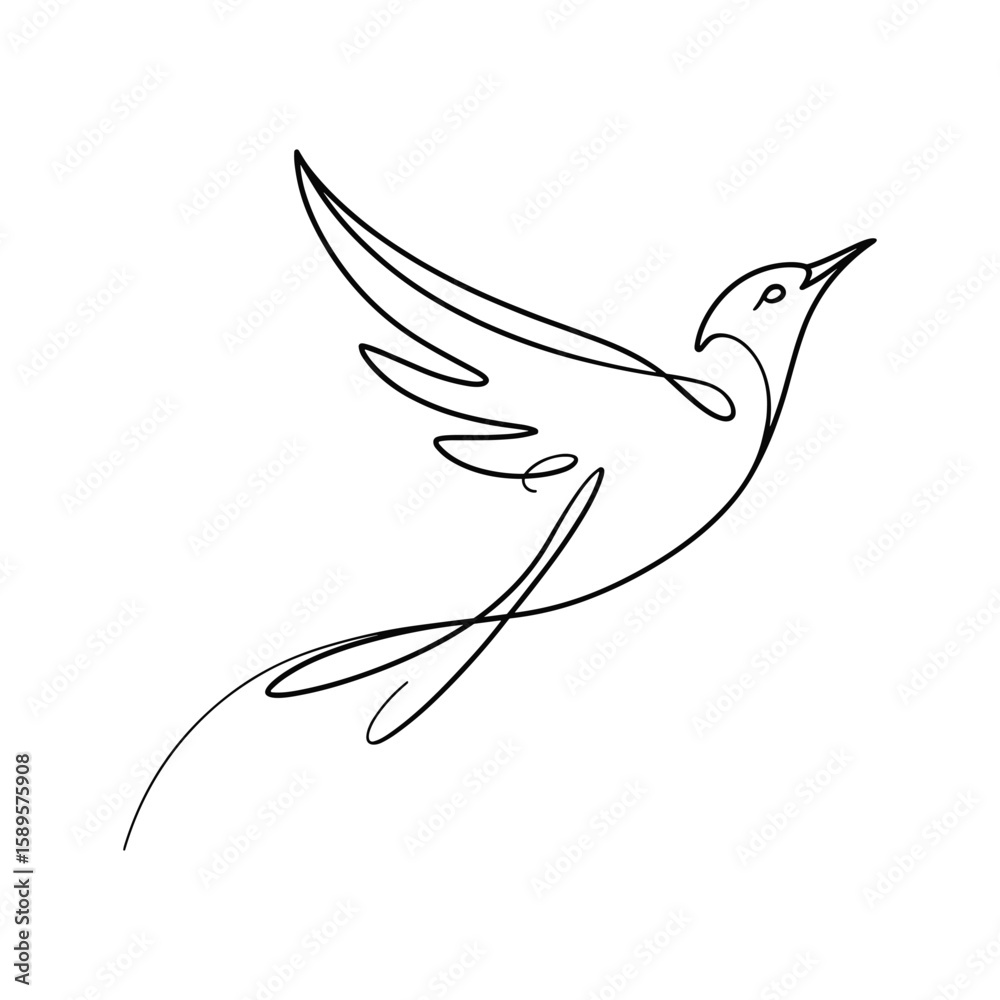 Fototapeta premium Elegant black line art of a bird in flight wings tail