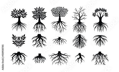 Black coral silhouette. diverse coral species vector illustration, detailed coral in marine life illustrations isolated on white, perfect for educational content and ocean themed designs