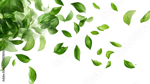 Fresh vibrant green leaves isolated on white background