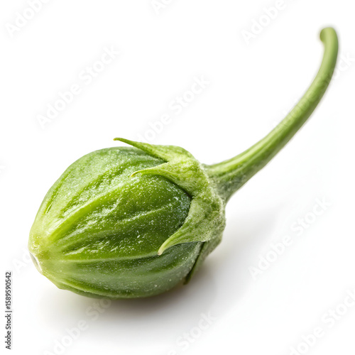 A single unprocessed caper bud, tangy and briny, commonly used