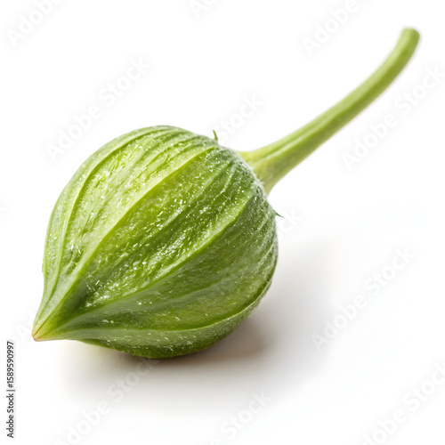 A single unprocessed caper bud, tangy and briny, commonly used