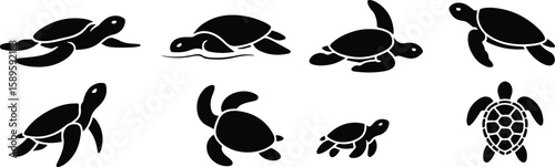 Various black sea turtle silhouettes swimming and resting ocean water set, bundle, vector, isolated on white background, cutout, png, clipping path, transparent, image, download, 2025,2026