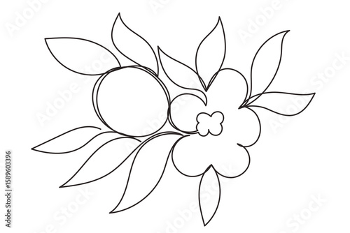 Tropical Plant Flower and Fruit Line Art. One Continuous Outline Contour Drawing. Summer  Resort Rest Vacation. Exotic Flower Branch Silhouette Design. Curve Wavy Shape Floral Botanical Symbol